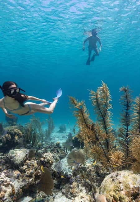 Full Day Sail and Snorkel with Turtles - Getting from your hotel to Paradise Island