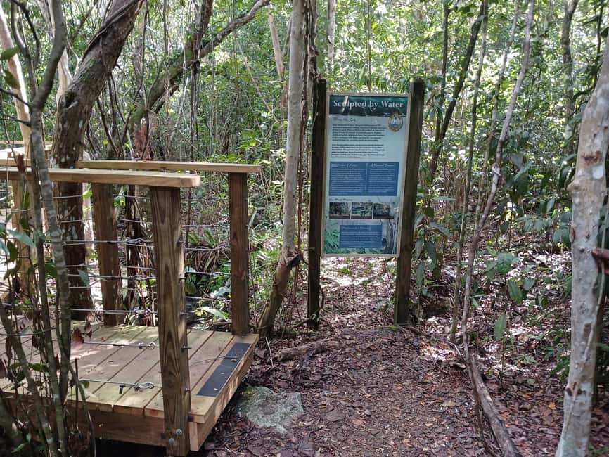 Guided Primeval Nature Walk Tour - Key points at a glance