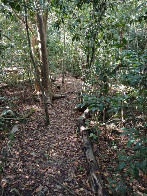 Guided Primeval Nature Walk Tour - Who should book this New Providence tour?