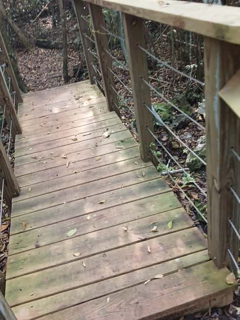 Guided Primeval Nature Walk Tour - Clifton Heritage and the Oldest Slave Village