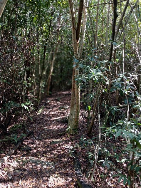 Guided Primeval Nature Walk Tour - What the $140 price really covers