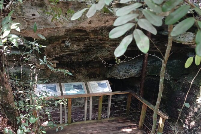 Guided Primeval Nature Walk Tour in Primeval Forest National Park - Conch, local food, and Arawak Cay