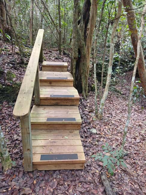 Guided Primeval Nature Walk Tour - Cave Point and the limestone world below