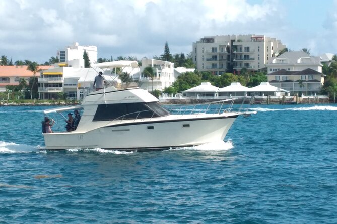 Half-Day at Green Cay Bahamas Snorkeling with Turtles - Why Green Cay makes this Nassau trip different