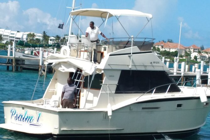 Half-Day at Green Cay Bahamas Snorkeling with Turtles - Rose Island finishes with lunch and clear water