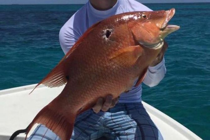Half day Deep sea/light tackle fishing charters - Handling choppy water and uneven crew service