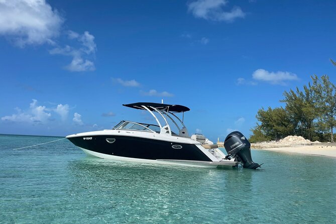Half-Day Luxury Private Rose Island Pigs and Turtles Excursion - The optional pigs come with an extra charge