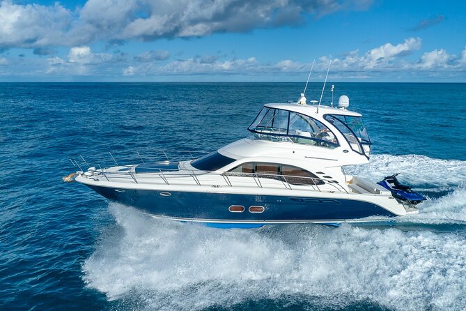 Half Day Private Yacht Charters - Choosing between Rose Island and the pigs