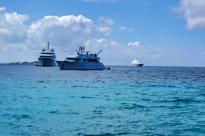HALF DAY Swiming Pigs and Sharks Tour (Nassau to Exuma by Plane) - Compass Cay and the nurse sharks