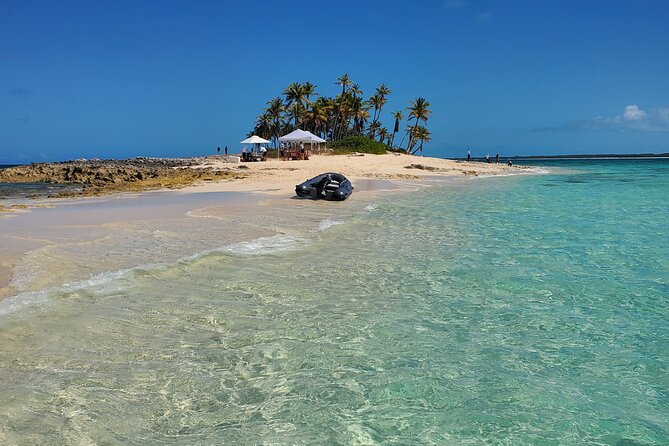 HALF DAY Swiming Pigs and Sharks Tour (Nassau to Exuma by Plane) - Returning to Nassau after a packed route
