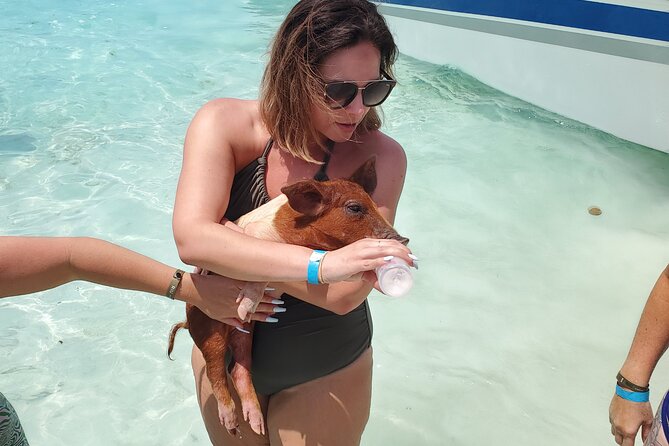 HALF DAY Swiming Pigs and Sharks Tour (Nassau to Exuma by Plane) - Pig Beach and the famous hour in the water