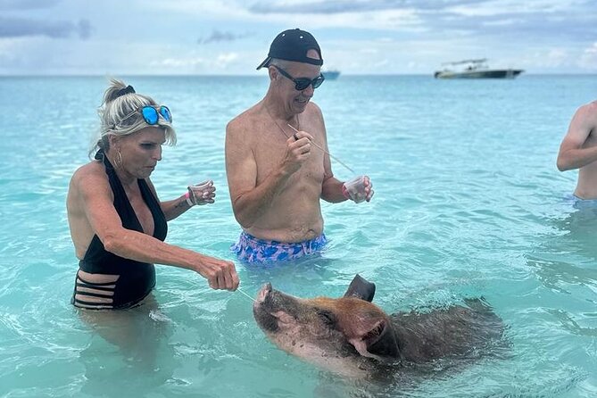Half Day Swimming Pigs on Rose Island, Snorkeling and Lunch - Green Cay and the search for sea turtles