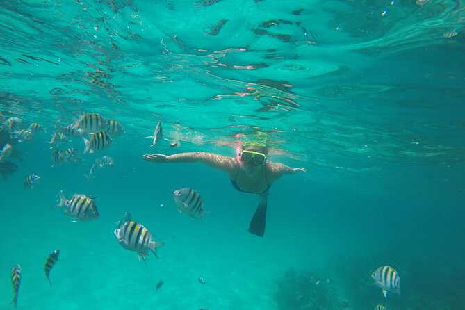 Half Day Swimming Pigs on Rose Island, Snorkeling and Lunch - Boat size, pace, and comfort