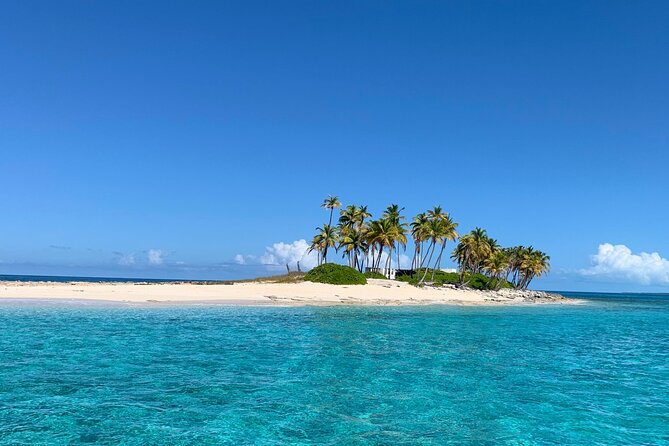 Half Day Swimming Pigs on Rose Island, Snorkeling and Lunch - Is $279 a fair price?