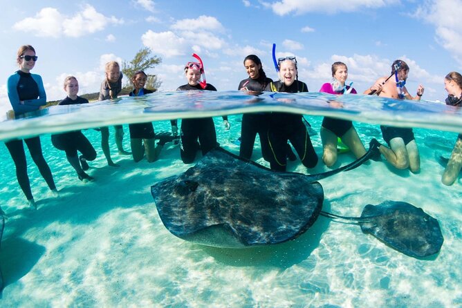 Honeymoon Harbour and The Sapona Day Trip - A half-day on Bimini’s open water