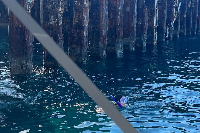 Honeymoon Harbour and The Sapona Day Trip - Who will get the most from this Bimini trip