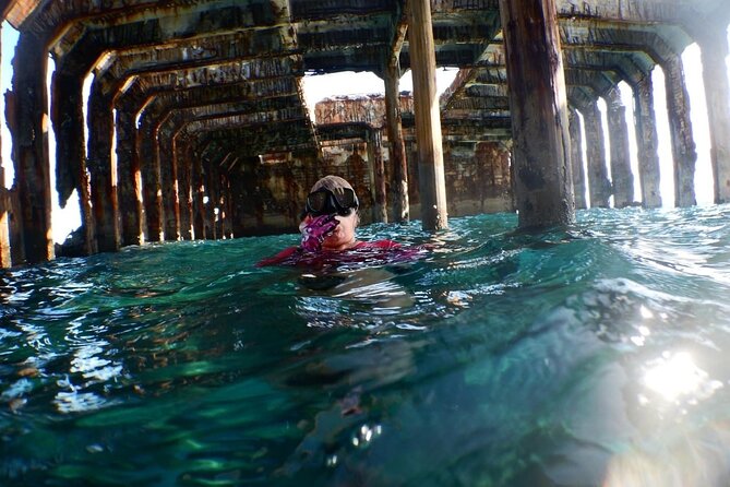 Honeymoon Harbour and The Sapona Day Trip - Honeymoon Harbour gives the trip its wildlife focus