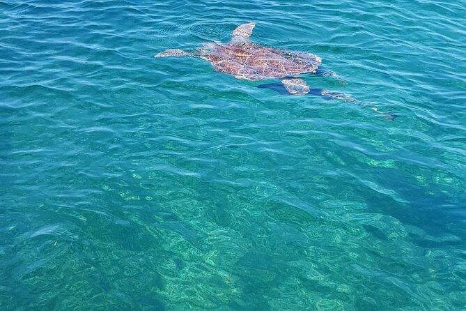 Honor Roll Private Bahamas Boat Charter - Rose Island snorkeling in clear water