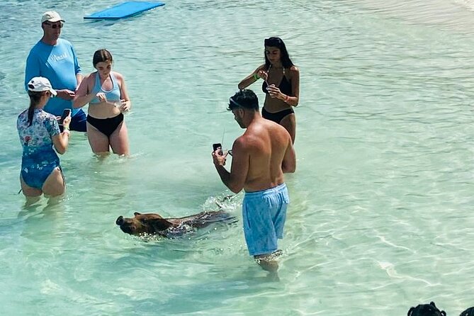Luxury Catamaran Cruise: Sip, Sail, Snorkel, and Swim with Pigs! - What $225 gets you