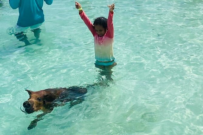 Luxury Catamaran Cruise: Sip, Sail, Snorkel, and Swim with Pigs! - Sailing toward Rose Island and the reef