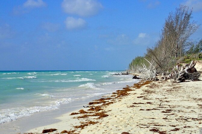 Mamma Gal Celeb-Key Native Exp. Shared Tour - Local food, shopping, and beach time