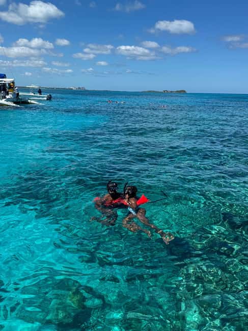 Nassau: 3-Island Snorkel Tour with Pigs, Beach Club, & Lunch - Rose Island pigs, with an important reality check