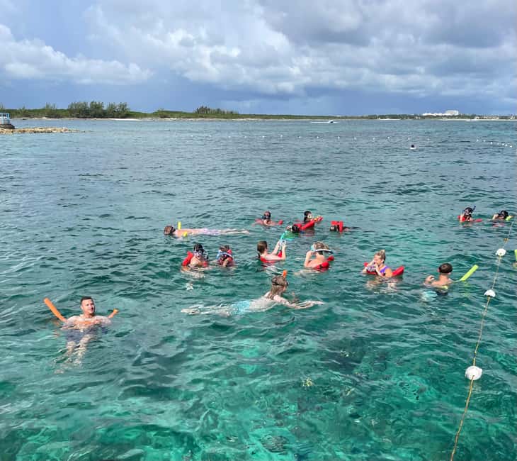Nassau: 3 Islands Boat w/ Swimming Pigs, Snorkeling & Turtle - Rose Island and the famous swimming pigs