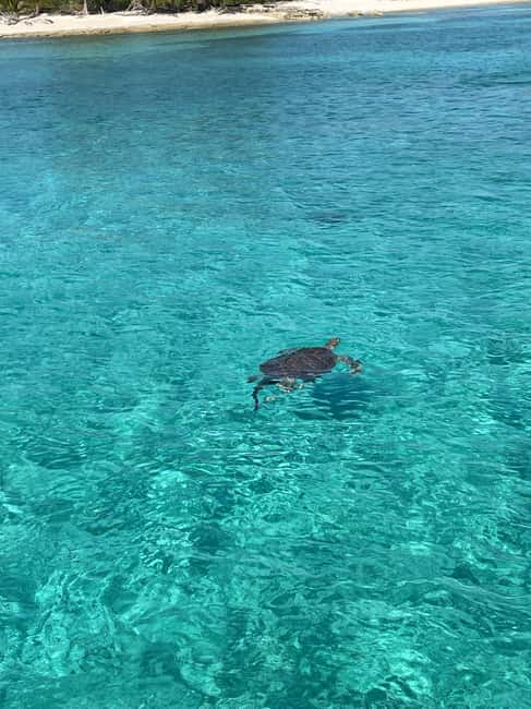 Nassau: 3 Islands Boat w/ Swimming Pigs, Snorkeling & Turtle - Getting to the boat from Nassau or Paradise Island