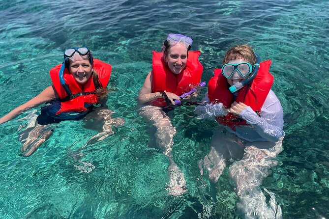 Nassau: 3 islands Pigs,Turtles,Snorkel & Beach Club with lunch - Green Turtle Cay and finding the turtles