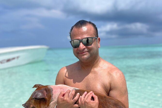 Nassau: 3 islands Pigs,Turtles,Snorkel & Beach Club with lunch - Rainbow Reef and Rose Island beach time