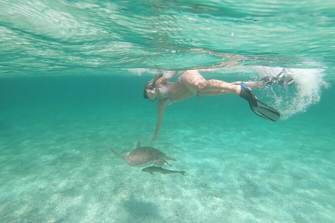 Nassau 3-stops: Snorkeling, Swimming Pigs, Turtles & Lunch - Weather, comfort, and who should book