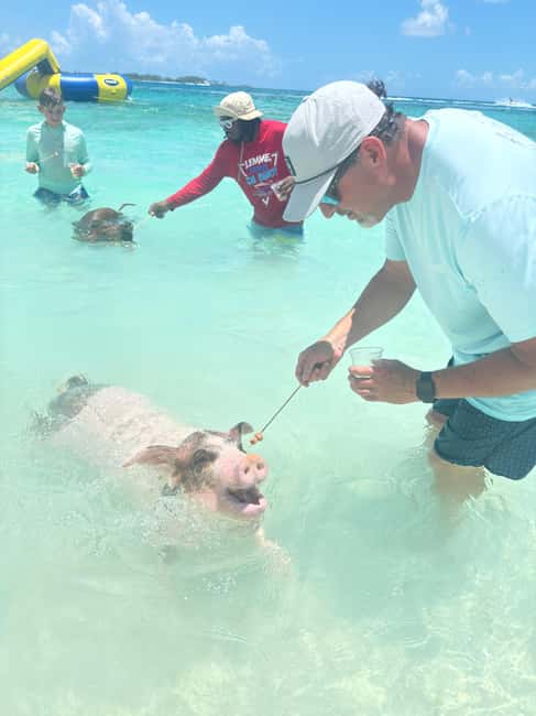 Nassau: 4-Island Tour Swimming Pigs, turtles, snorkeling - Key points to know before you book