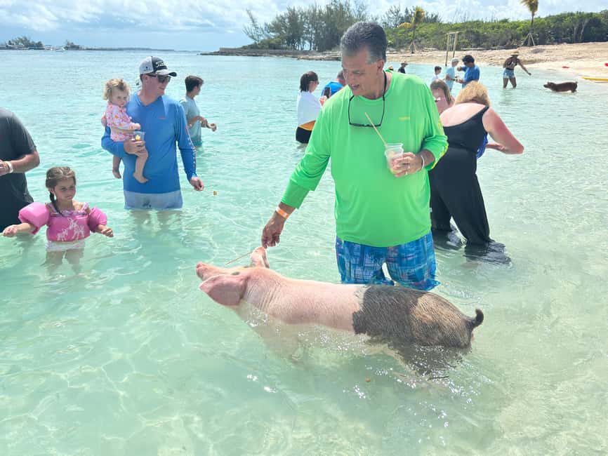 Nassau: 4-Island Tour Swimming Pigs, turtles, snorkeling - Snorkeling a protected coral reef