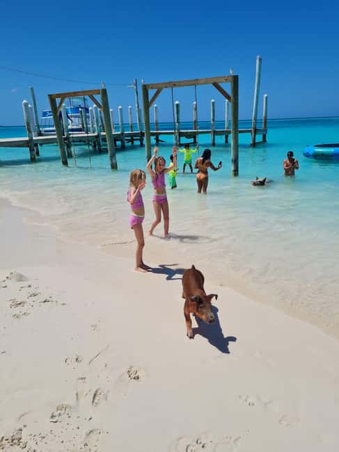 Nassau ATV & Swimming Pigs Tour - Sweet samples and Bahamian food