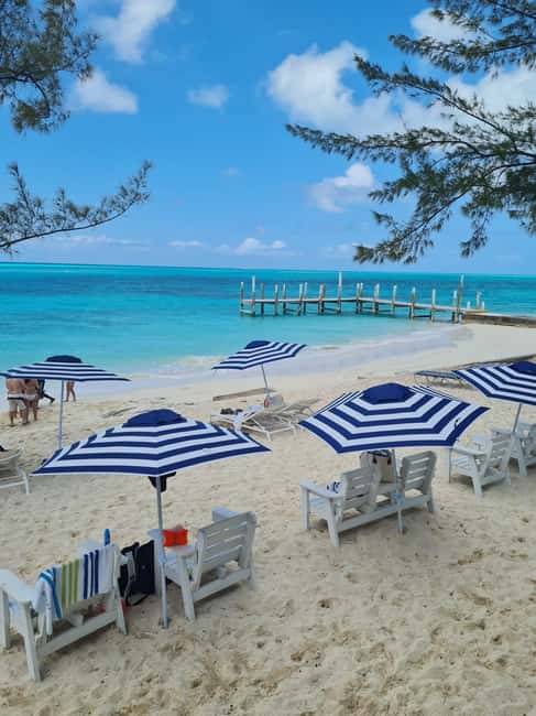 Nassau ATV & Swimming Pigs Tour - Lunch, drinks, and the $280 price