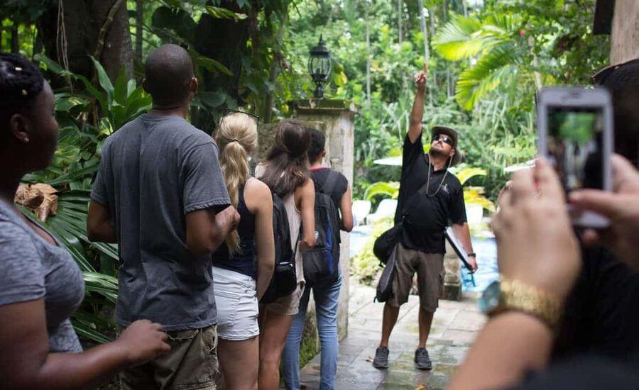 Nassau: Bites and Sites Food and Cultural Walking Tour - Why this Nassau food walk is worth your time