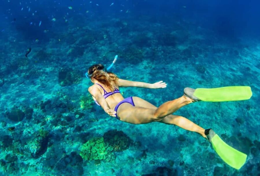 Nassau: Catamaran Sail and Snorkel Tour - Quick takeaways