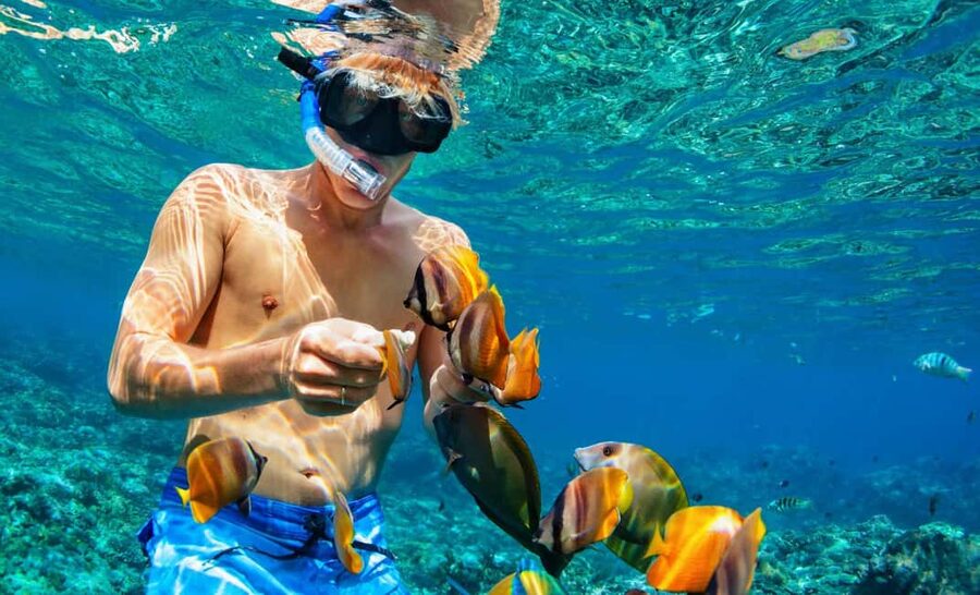 Nassau: Catamaran Sail and Snorkel Tour - The reef stop near Athol Island or Spruce Cay
