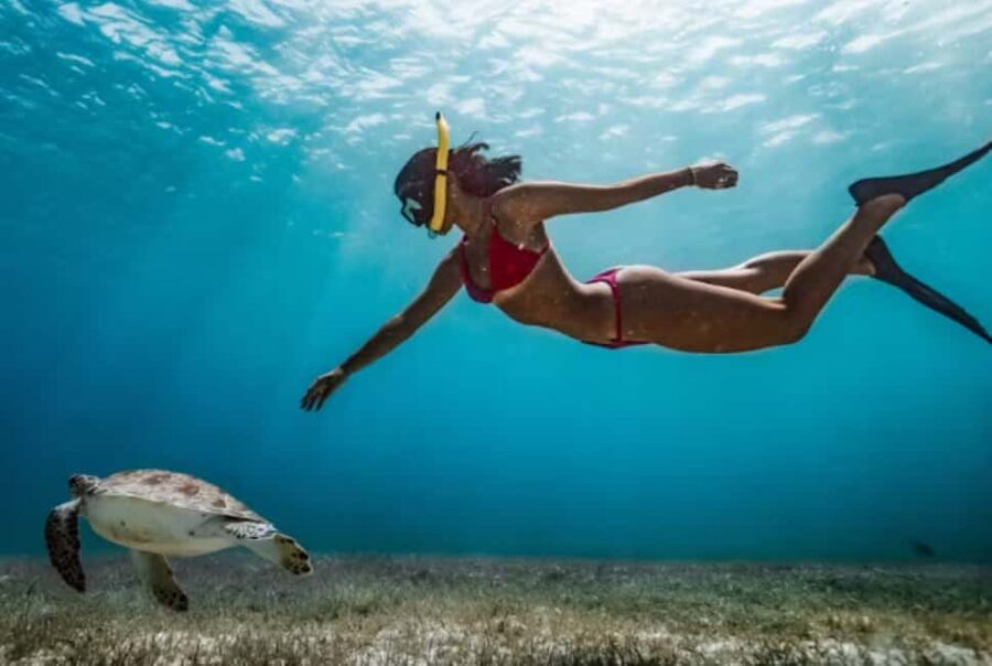 Nassau: Catamaran Sail and Snorkel Tour - What to bring and what to expect onboard