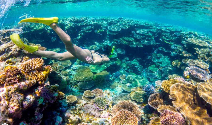 Nassau: Catamaran Sail and Snorkel Tour - Booking and timing advice