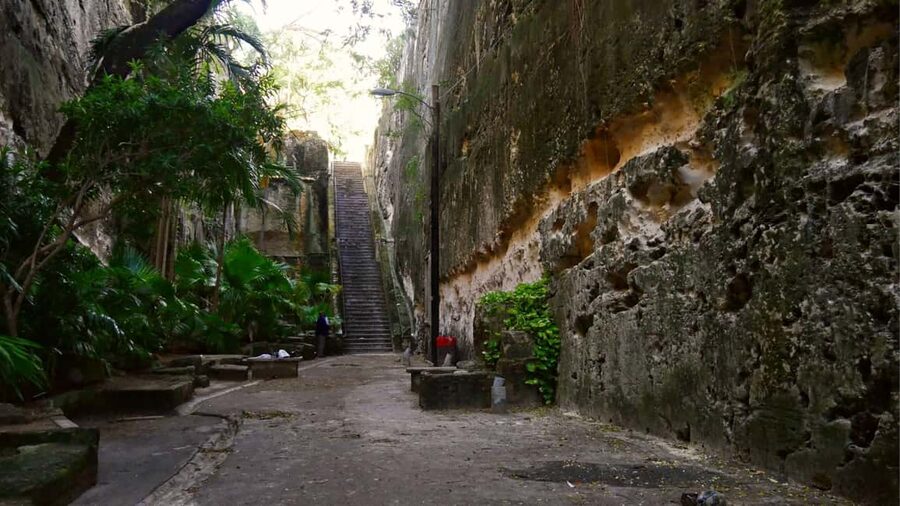 Nassau City Tour: Discover the Charms of Old Charles Town - The guides can make or break the experience