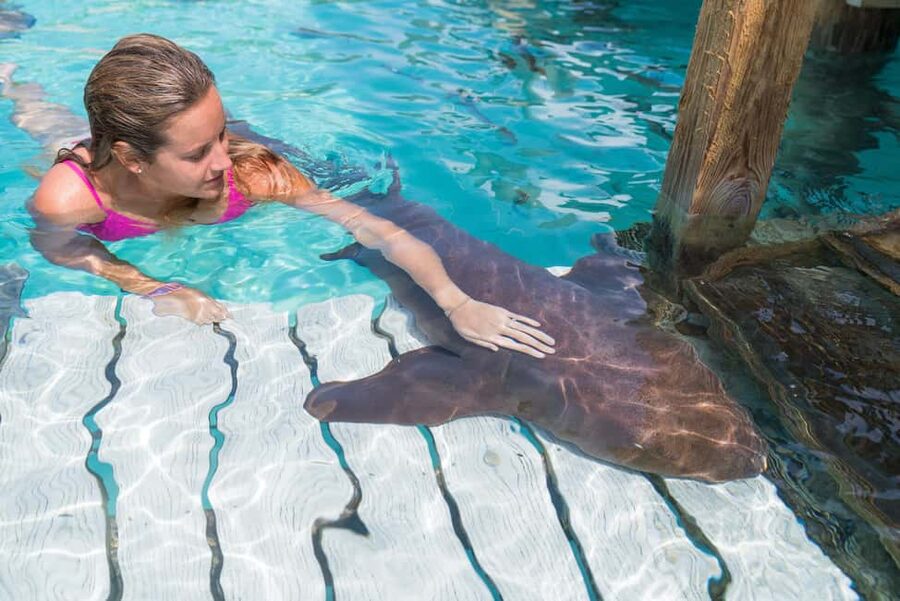 Nassau: Discover Exuma Island Hopping and Swimming Pigs Tour - Five memorable stops in one Exuma day