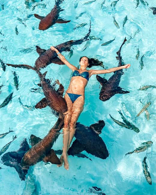 Nassau: Discover Exuma Island Hopping and Swimming Pigs Tour - Pig Beach at Big Major’s Cay