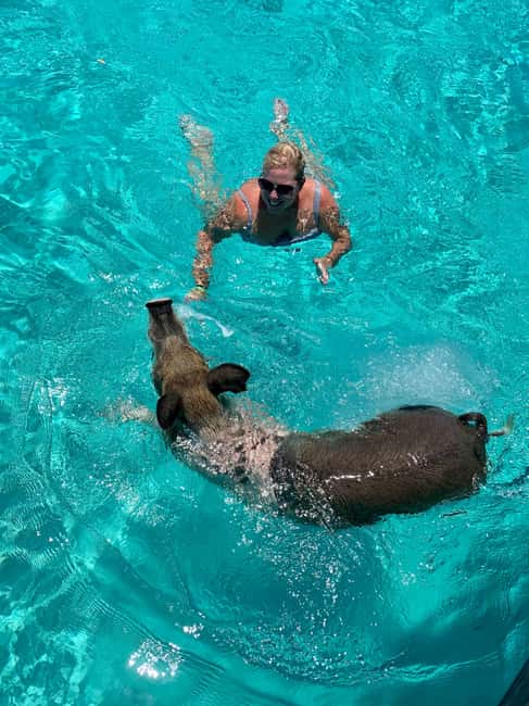 Nassau: Discover Exuma Island Hopping and Swimming Pigs Tour - A Bahamian lunch after the morning swims