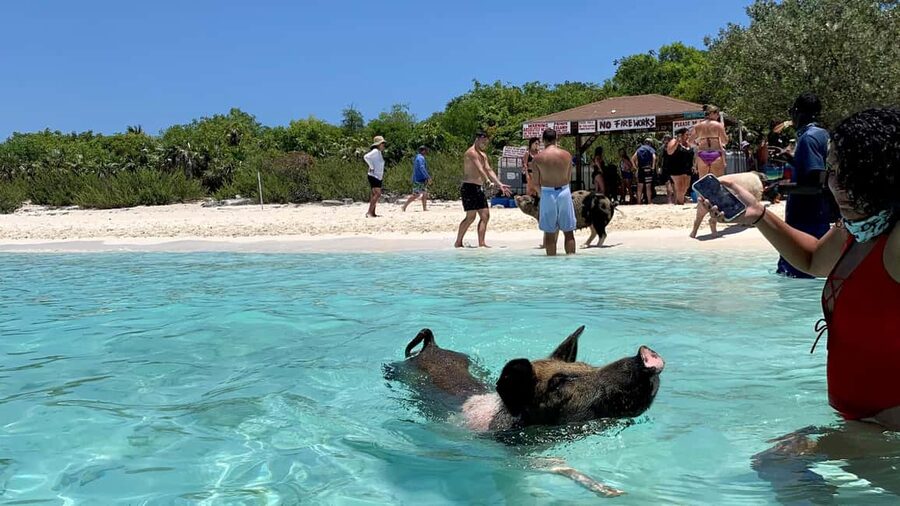 Nassau: Discover Exuma Island Hopping and Swimming Pigs Tour - The final beach or sandbar stop
