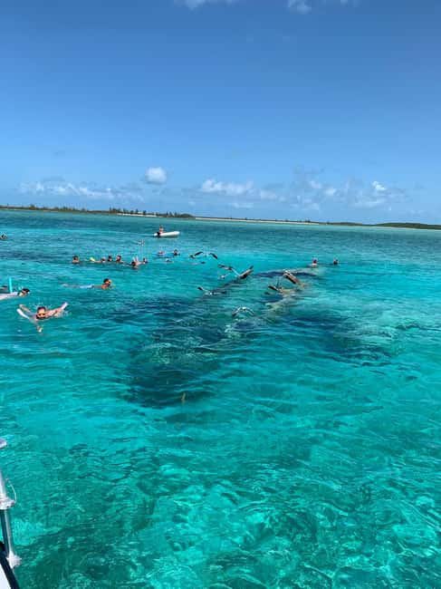 Nassau: Discover Exuma Island Hopping and Swimming Pigs Tour - Who should book this Exuma tour