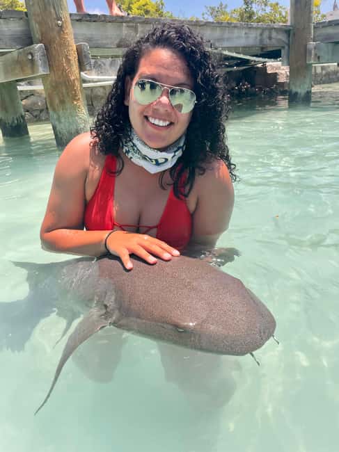 Nassau: Discover Exuma Island Hopping and Swimming Pigs Tour - Allen’s Cay and its rare iguanas