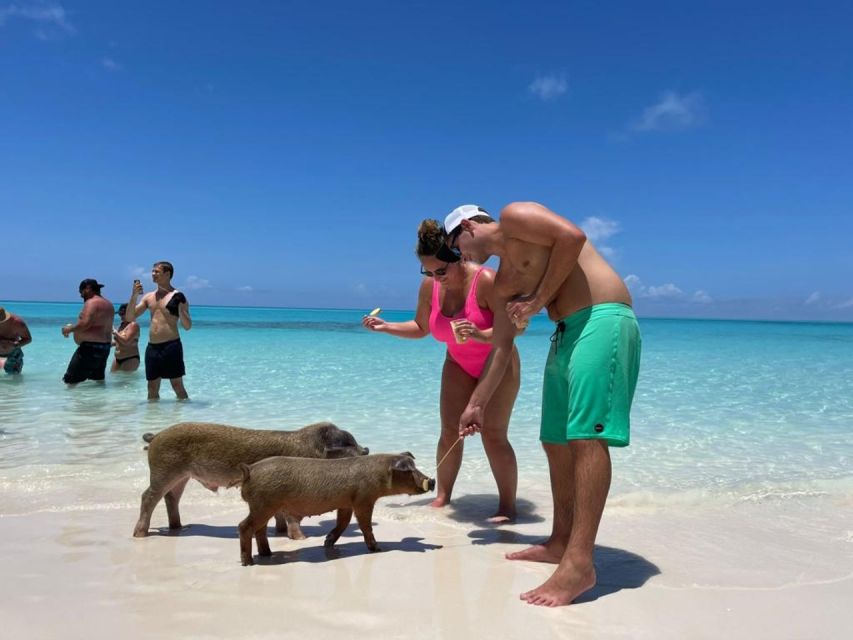 Nassau: Half-Day Guided Cay Cruise, Sea Life Watch & Snorkel - Is three hours enough?