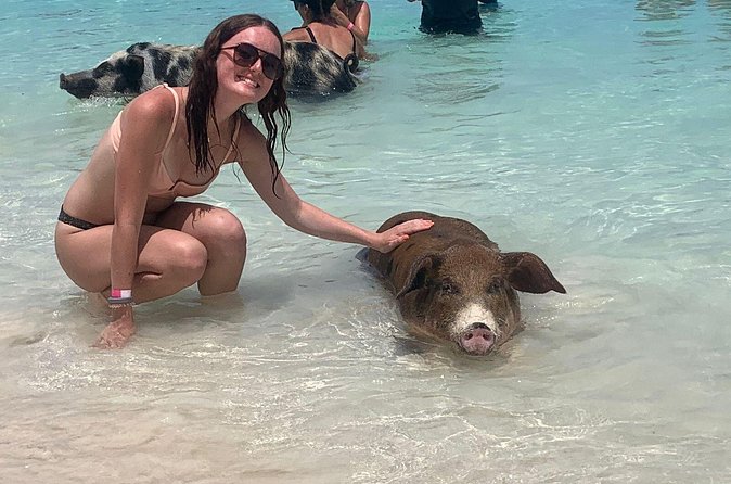 Nassau: Half Day Reef Snorkeling, Turtles & Swimming Pigs - Who will enjoy this Nassau excursion most?