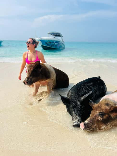 Nassau: Half-Day Swimming Pigs, Reef Snorkel & Beach Club - What You Get for $189